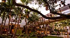 Waikiki