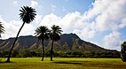 Waikiki
