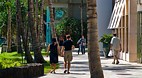 Waikiki