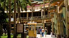 Waikiki