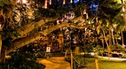 Waikiki