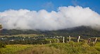 Waimea (Kamuela)