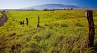 Waimea (Kamuela)