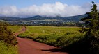 Waimea (Kamuela)