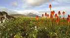 Achill Island