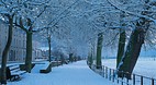 Armagh City