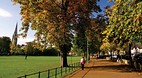 Armagh City