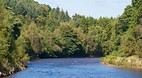 Avoca