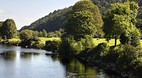 Avoca