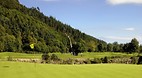 Avoca