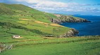 Cork