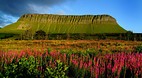 Benbulben