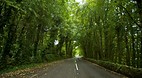 Causeway Drive