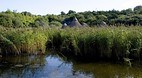 Ferrycarrig