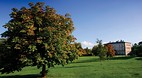 Armagh