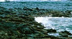 Giants Causeway