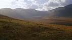 Kerry