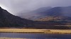 Kerry
