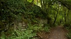 Killarney