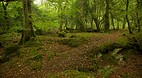 Killarney