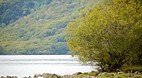 Killarney