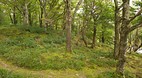 Killarney