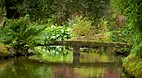 Mount Stewart Garden..