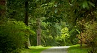 Mount Stewart Garden..