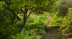 Mount Stewart Garden..