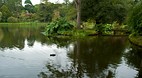 Mount Stewart Garden..