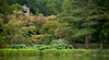 Mount Stewart Gardens & House