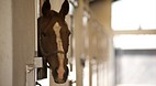 National Stud & Gard..