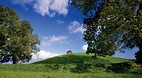 Armagh