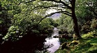 Ring of Kerry