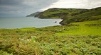 Torr Head