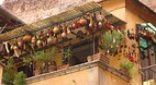 Sorrento
