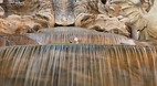 Trevi Fountain