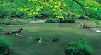 Honshu
