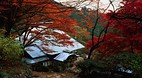 Ehime Prefecture