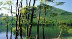 Honshu