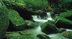 Kagoshima Prefecture