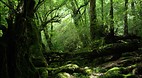 Kagoshima Prefecture