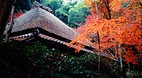 Kyoto