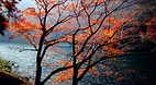 Kyoto