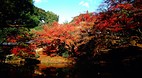 Kyoto
