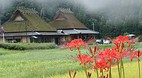 Kyoto