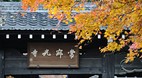 Kyoto