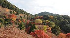 Kyoto