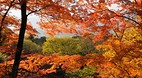 Kyoto