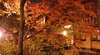 Kyoto